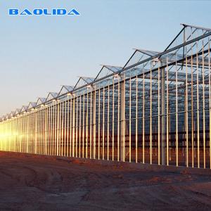 China Large Size Generator Plastic Sheet Greenhouse With Project Commercial Hydroponic Systems supplier