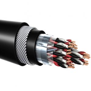 China Customized Color Flexible Belden Twisted Pair Shielded Cable For Power System supplier
