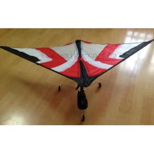 China DIY UAV Aircraft Aeromodelling-WJ01RC-KITE supplier
