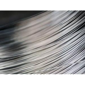 China Food Grade 0.3mm 302 Spring Wire Industrial Stainless Steel Jewelry Wire supplier