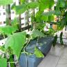 Plant Agriculture Hydroponic Growing Medium Foam