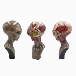 China Servicio de impresión 3D multicolor de alta resolución. Aplicaciones médicas con proceso SLM. supplier