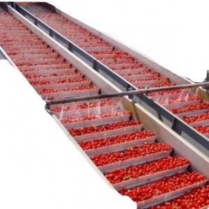 Customized Stainless Steel 304 316 Apple Juice Production Line 10ton Industrial Beverage Processing