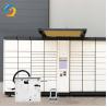 Custom Electromagnetic Latch Lock SPCC Self Service Parcel Locker Lock