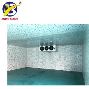 China cold storage room cold room panels polyurethane,fish storage cold room,cold room for sale supplier
