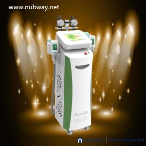 China Hottest sale!!! 5 handles multifunctional slimming fat removal cryolipolysis machine wholesale