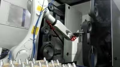 China Zinc Alloy Robot Grinding RD-001 for Consistent Grinding Performance wholesale