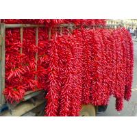 China 20000SHU Dried Chinese Chilis Vacuume Packing Spicy Chaotian / Tianjin Chilli on sale