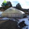 9.6m Width Peach Type Roof PC Sheet Greenhouse Hot Galvanized Pipe Greenhouse