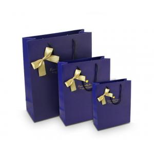 Luxury Shopping Paper Bag for Cloth