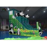 China Fire Retardant Inflatable Dry Slide Durable Single Lane Slide For Kids on sale
