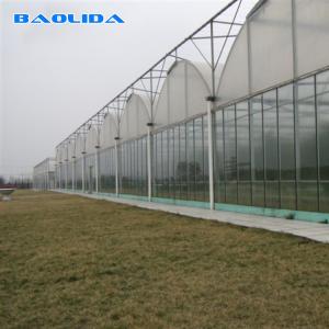 China Flowers Planting Agriculture Plastic Film Automatic 9m Multi Span Greenhouse supplier