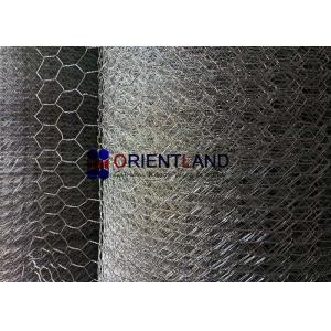 China High Intensity Heavy Gauge Chicken Wire Netting Animals Plants Fencing ISO Approval supplier