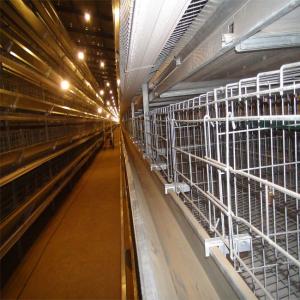 China Long Lifespan cold galvanized Battery Chicken Cage For Chicken Cage supplier