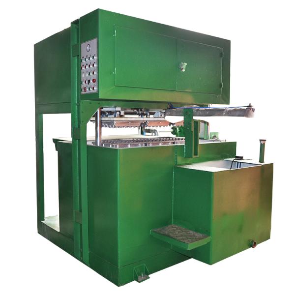 Customized Molds Paper Pulp Molding Machine With Low Energy