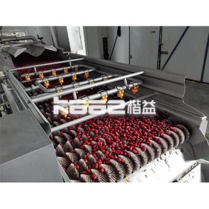 SUS304 Dates Processing Machine Jujube Juice Production Line For Jujube Syrup