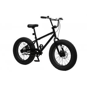 20 Inch BMX Fat Tire Bicycle Hi-Ten Steel Frame 8 Speed