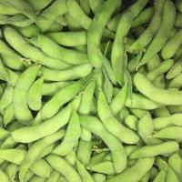 China 4cm Length Frozen Edamame Pods IQF Whole Food Plant Based A Grade on sale