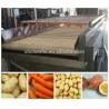 China SS304 Carrot Beverage Processing Plant Full Automatic Energy Saving wholesale