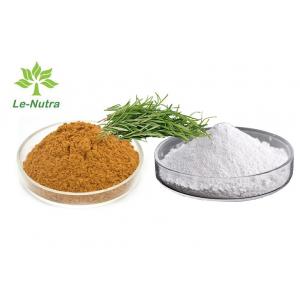 Herbal Rosemary Oleoresin Extract Rosmarinic Acid Powder