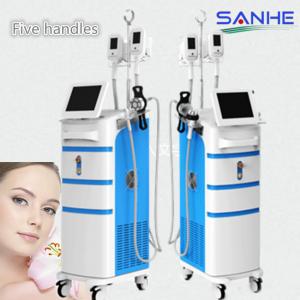 Vertical Cryolipolysis Machine Frozen Fat Dissolving Instrument