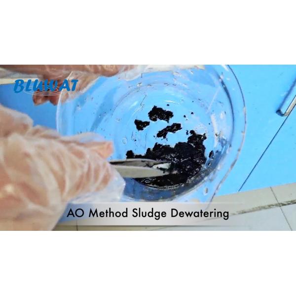 Anoxic Oxic AO Method Sludge Dewatering Anionic Polyacrylamide
