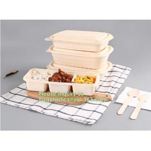 Takeout Takeaway Good Eco Sugarcane 800ml Lunch Box Clamshell Disposable Biodegradable Food Containers With Custom Logo
