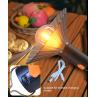 China Convenient and Portable USB-Rechargeable Camping Lantern for Campgrounds Emergency Illumination Ambient Lighting wholesale