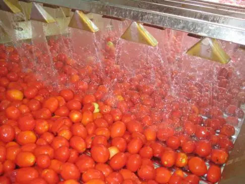 China Fresh Tomato Ketchup Jam Paste Sauce Processing Line on sale
