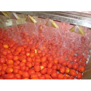 China Chaîne de fabrication de tomate de ketchup de confiture de sauce fraîche à pâte supplier