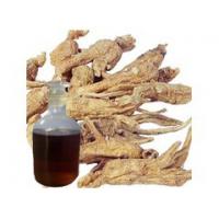 Natural Angelica Root Oil/Angelica Root Essential Oil