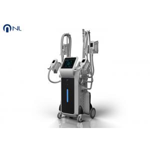 Best price quality cryotherpy weight loss body slimming machine