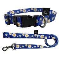 China Adjustable Flower Design Dog Puppy Collar And Lead Leash Set In 2 Colours on sale