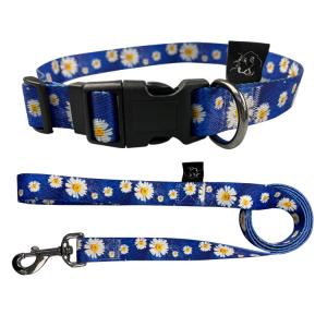 China Adjustable Flower Design Dog Puppy Collar And Lead Leash Set In 2 Colours supplier