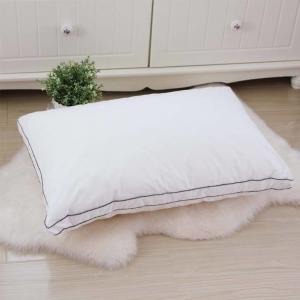 China Lightweight Hotel Collection Pillows 80% Velvet Down And Color Piping Edge With 48 * 74cm supplier