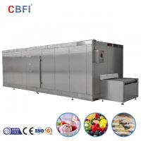 China Iqf Quick Tunnel Freezer Frozen Fruit Vegetable Food Maker Equipment on sale