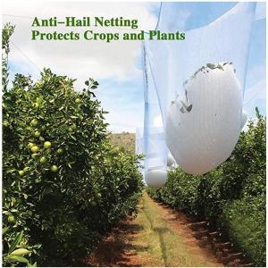 Agricultural HDPE White Anti Hail Net , UV Stabilized Fruit Tree Netting