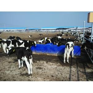 High quality pasture  4m Blue Thermo Six-Hole drinking Waterer  for animals  (with cover and balls) made of LLDPE