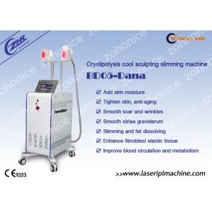 China 2 Changeable Handle Cryolipolysis Slimming Machine With Antifreezing Membrance supplier