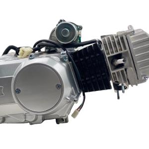 China 125CC Air-cooled Engine Motorcycle Engine Assembly Kit Max.Power 7.2kW/8500 r/min supplier