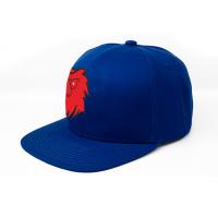 China Blank Flat Brim Sports Cap Custom Color Design Snapback Hat For Adult Kid on sale