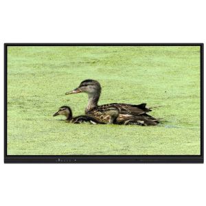 China All In One Interactive Whiteboard 65 Inch Android 14 15 8+128G Teaching Meeting Software 50 Touch Points Light Sensor Speakers App Store Built-in For Education Teaching Online Meetings wholesale