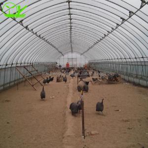 Customized Color Single-Span Greenhouse Perfect for Poultry Farm Design and Efficiency