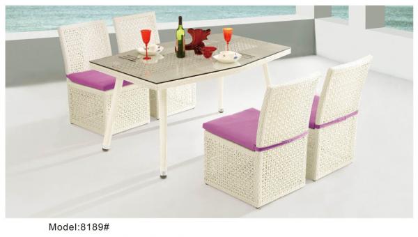 Comepterory outdoor swimming pool dining set-8189