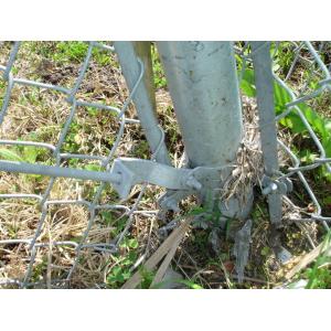 China chain link fence for the park and tree ,Hot Sale Chain Link Fence for Playground Park / Forest Protecting supplier