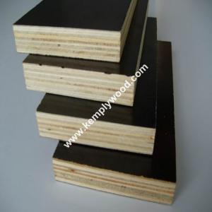 China Phenolic film faced plywood board price/ structural plywood/ film faced shuttering plywood supplier