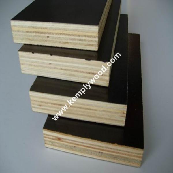 Phenolic film faced plywood board price/ structural plywood/ film faced