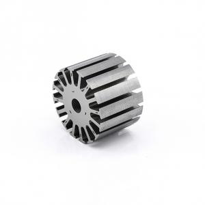 China Brushless DC Motor Rotor Silicon Steel Stamping DC Motor Permanent Magnet Rotor supplier