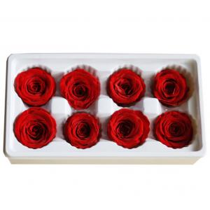 Natural preserved fresh flowers for Valentines day Never Withered Flowers Home Decoration