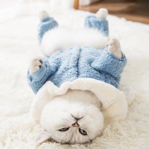 China Warm Cats Wearing Clothes Environment Friendly Bunny Ears Hoodie Pullover Design supplier